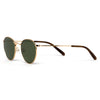 Ashton Gold Green Lens