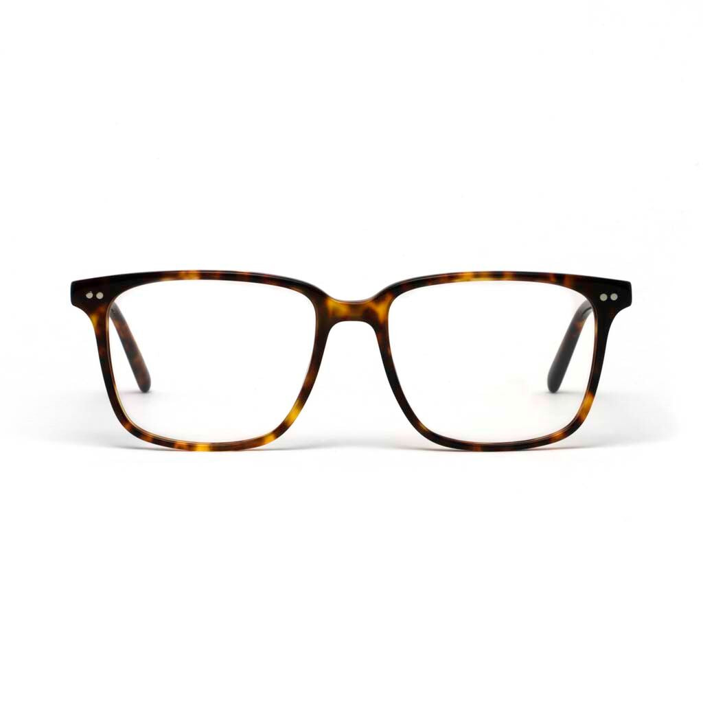 Clark Honey Tortoise Shell