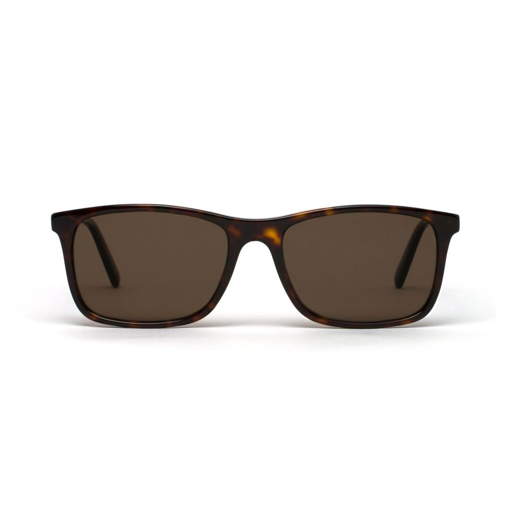Brody Mahogany Tortoiseshell Brown Lens