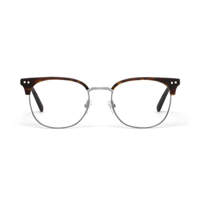 Willow Tortoise Shell