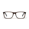 Brody Tortoise Shell
