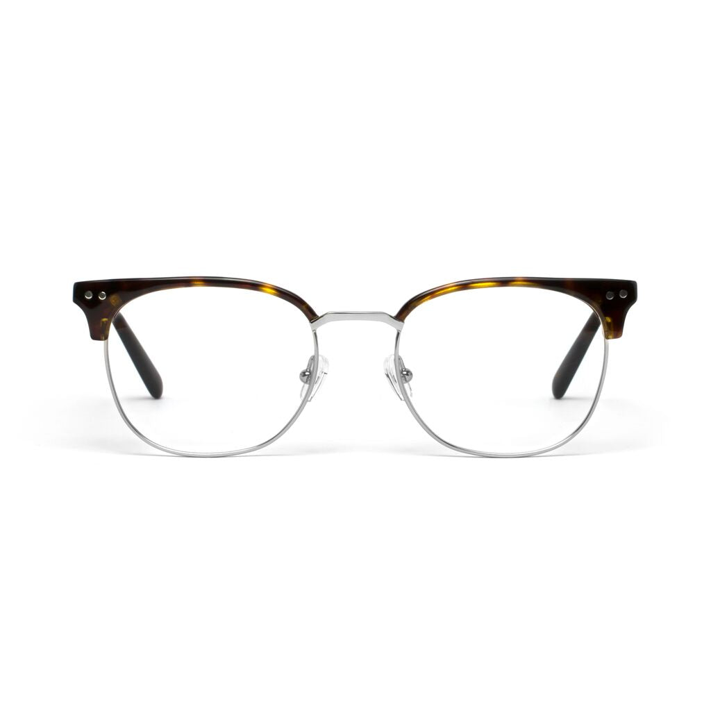 Willow Tortoise Shell