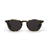 Elton Grey Havana Grey Lens 11-14 yrs