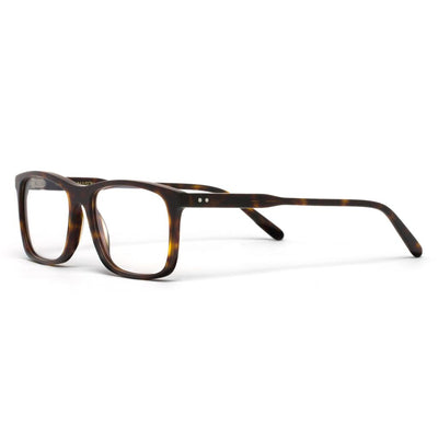 Brody Tortoise Shell