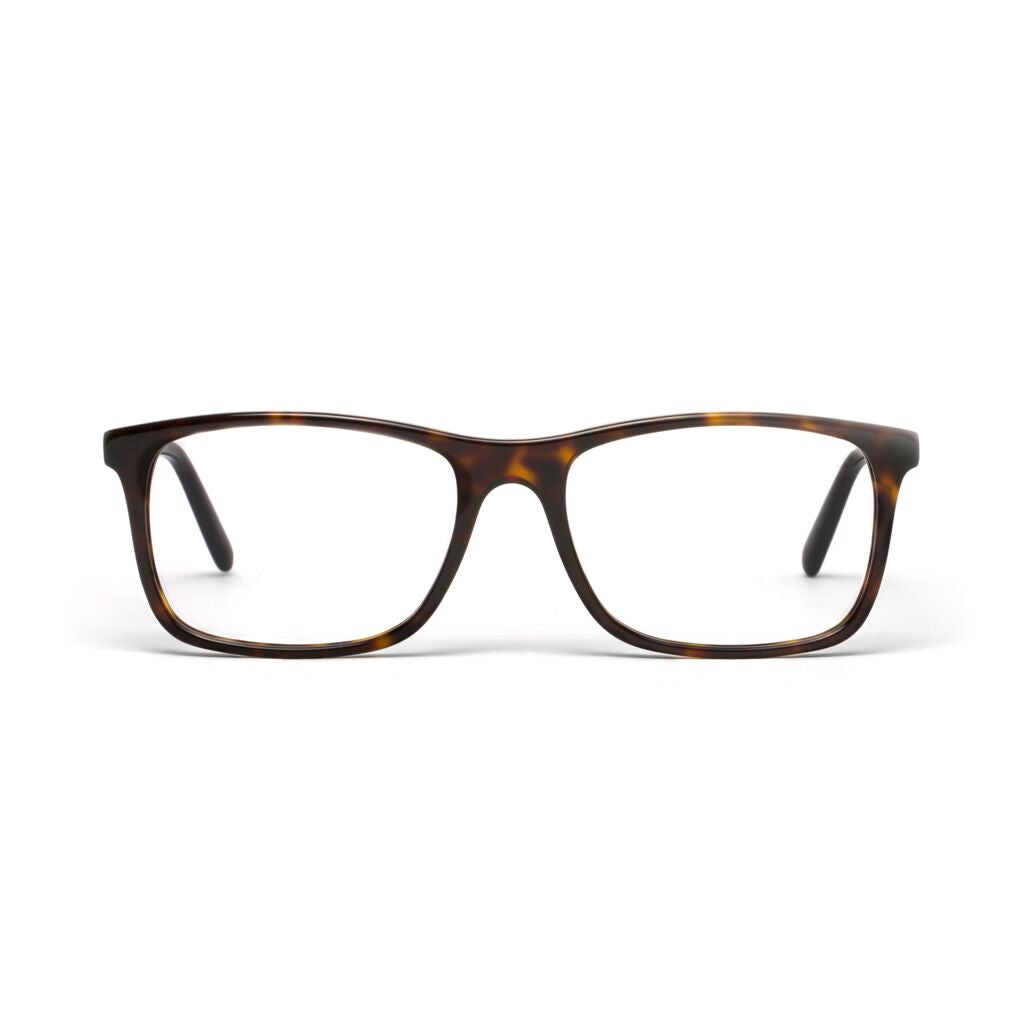 Brody Tortoise Shell