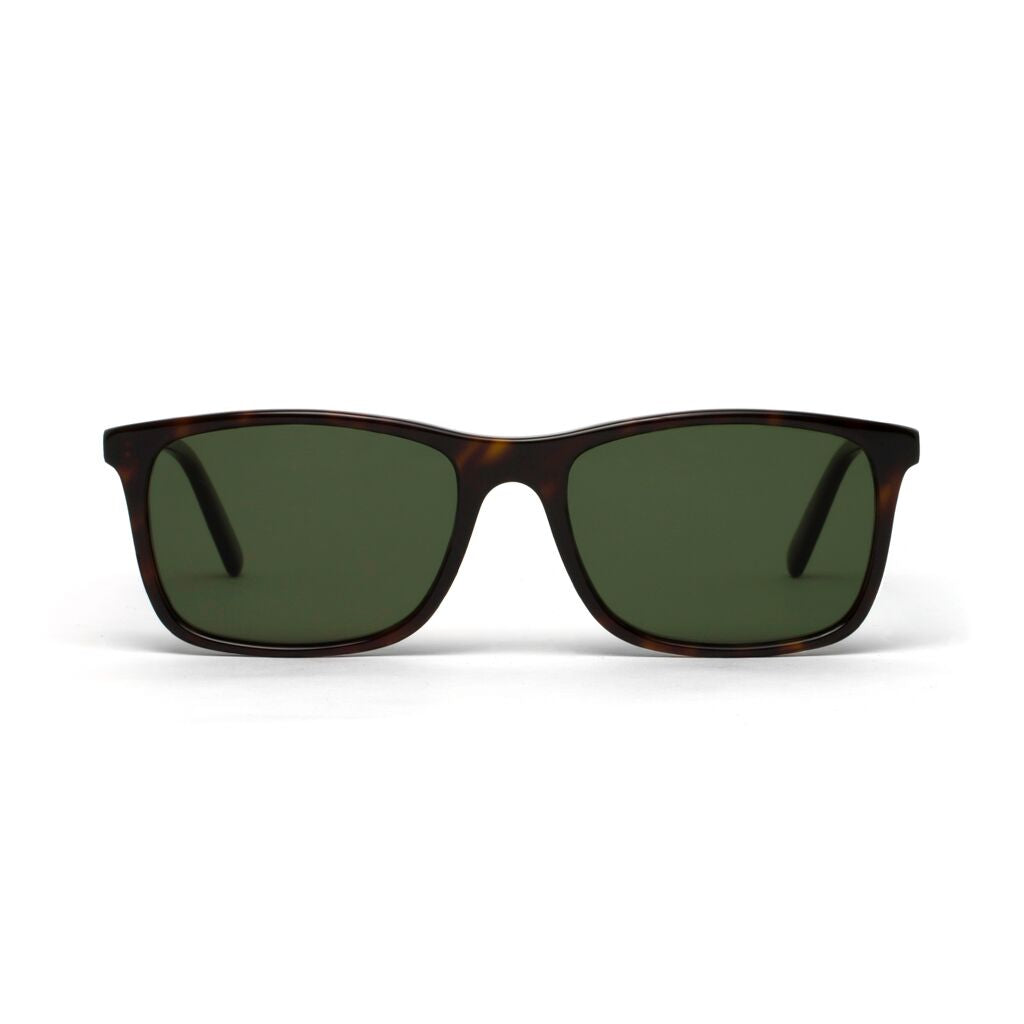Brody Mahogany Tortoiseshell Green Lens